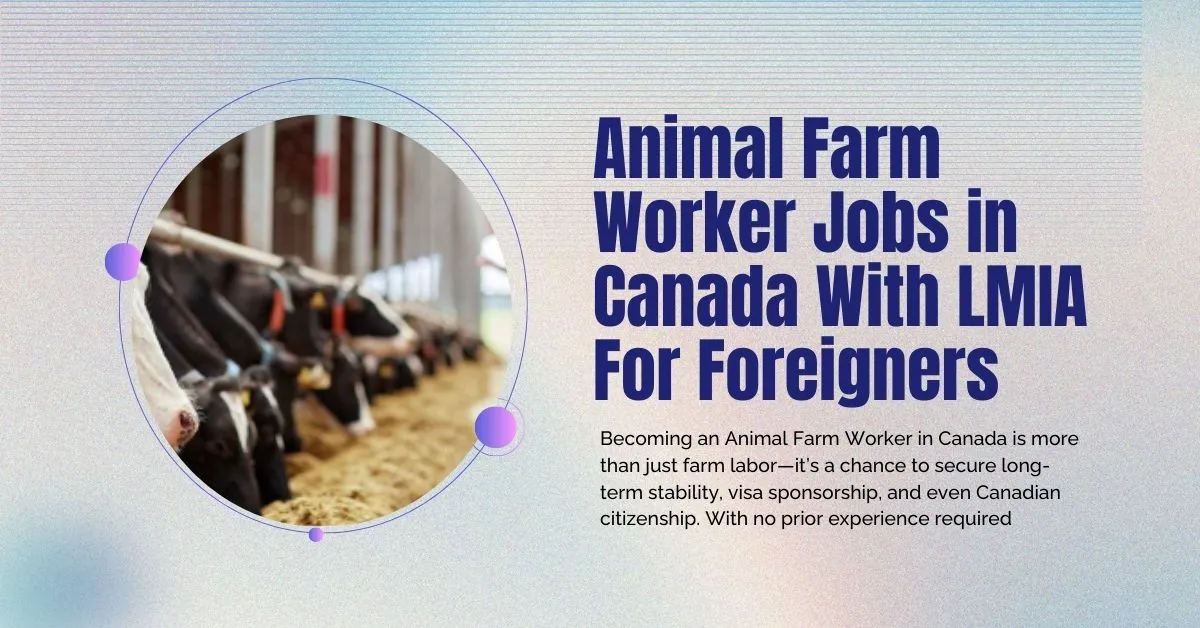 Animal Farm Worker Jobs in Canada With LMIA For Foreigners 1 Animal Farm Worker Jobs in Canada
