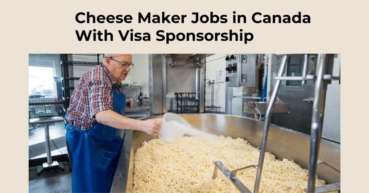 Cheese Maker Jobs in Canada With Visa Sponsorship 1 Cheese Maker Jobs in Canada With Visa Sponsorship