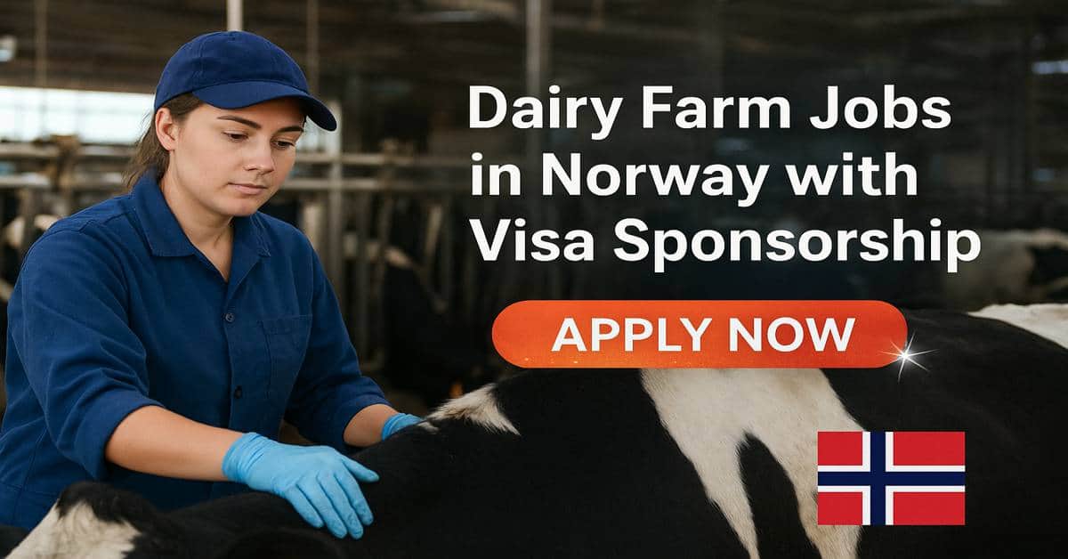 Dairy Farm Jobs in Norway with Visa Sponsorship 2025 1 Dairy Farm Jobs in Norway with Visa Sponsorship