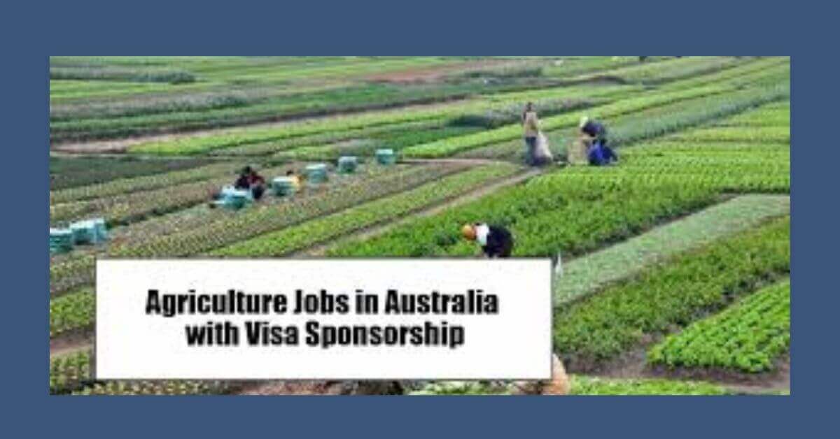 Agriculture Jobs in Australia With Visa Sponsorship 1 Agriculture Jobs in Australia With Visa Sponsorship