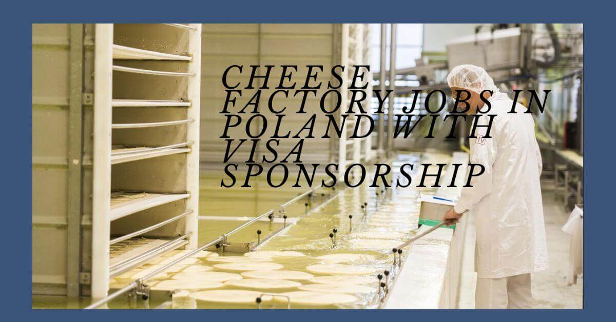 Cheese Factory Jobs in Poland with Visa Sponsorship 1 Cheese Factory Jobs in Poland with Visa Sponsorship