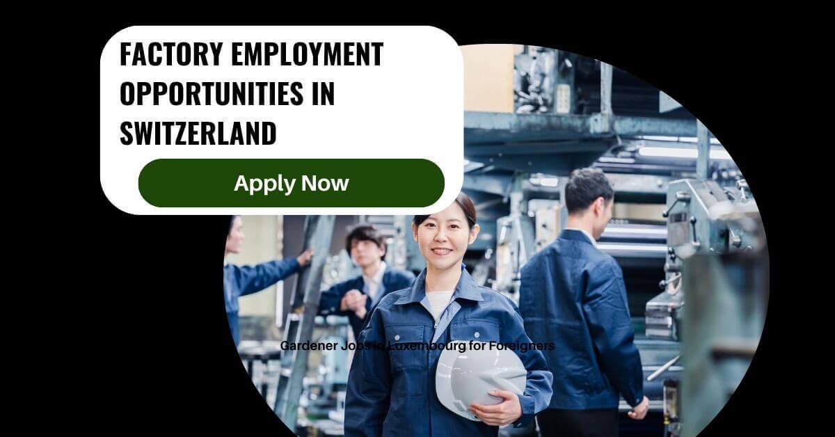 Factory Employment Opportunities In Switzerland 2025 1 Factory Employment Opportunities In Switzerland