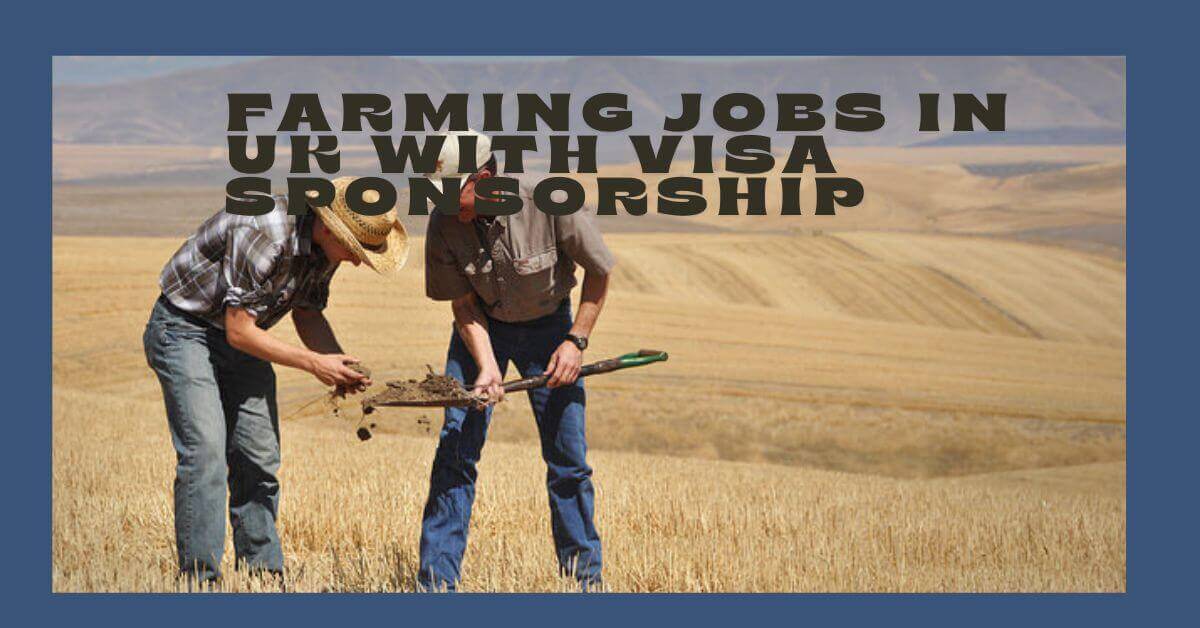 Farming Jobs In UK With Visa Sponsorship 2025 1 Farming Jobs In UK With Visa Sponsorship