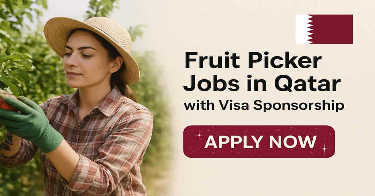 Fruit Picker Jobs in Qatar with Visa Sponsorship 2025 3 Fruit Picker Jobs in Qatar with Visa Sponsorship
