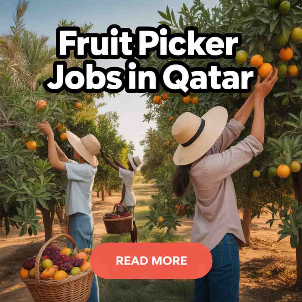 Fruit Picker Jobs in Qatar with Visa Sponsorship 2025 2 Fruit Picker Jobs in Qatar