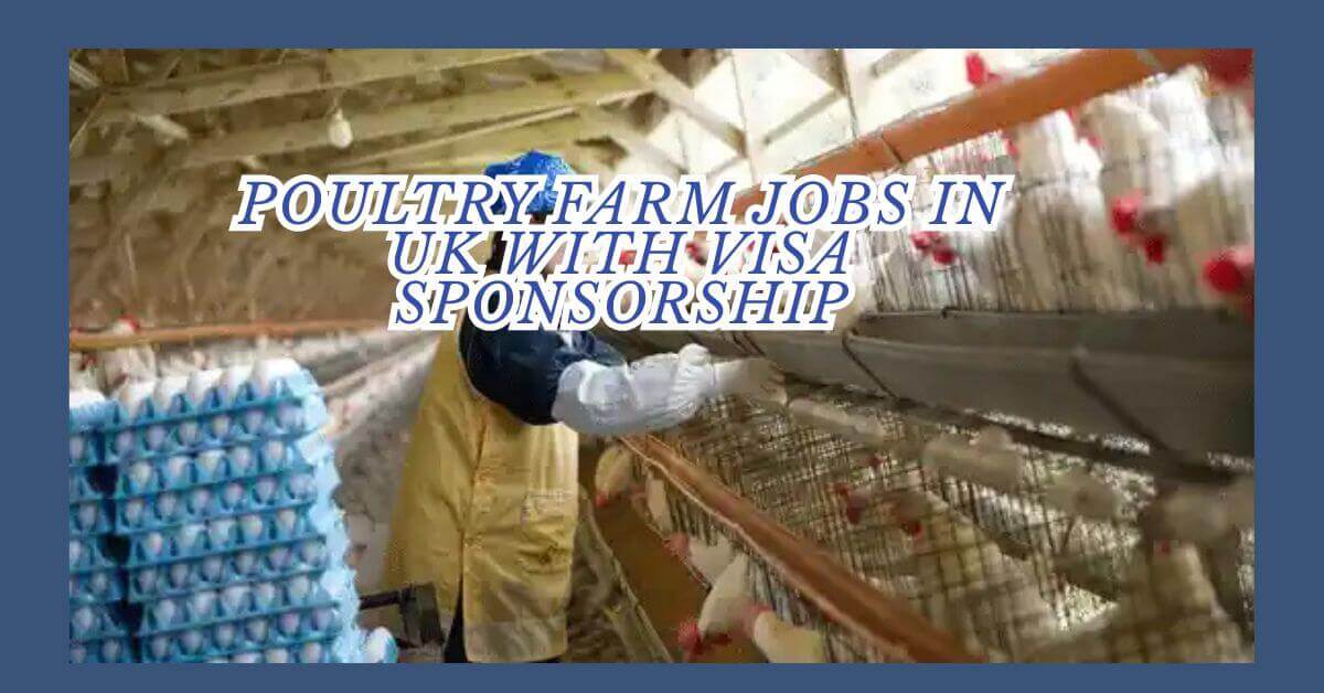 Poultry Farm Jobs in UK With Visa Sponsorship 2025 1 Poultry Farm Jobs in UK With Visa Sponsorship