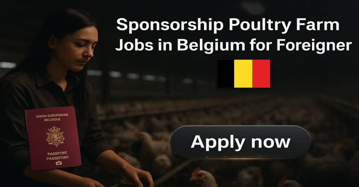 Sponsorship Poultry Farm Jobs in Belgium for Foreigner 2025 1 Sponsorship Poultry Farm Jobs in Belgium for Foreigner