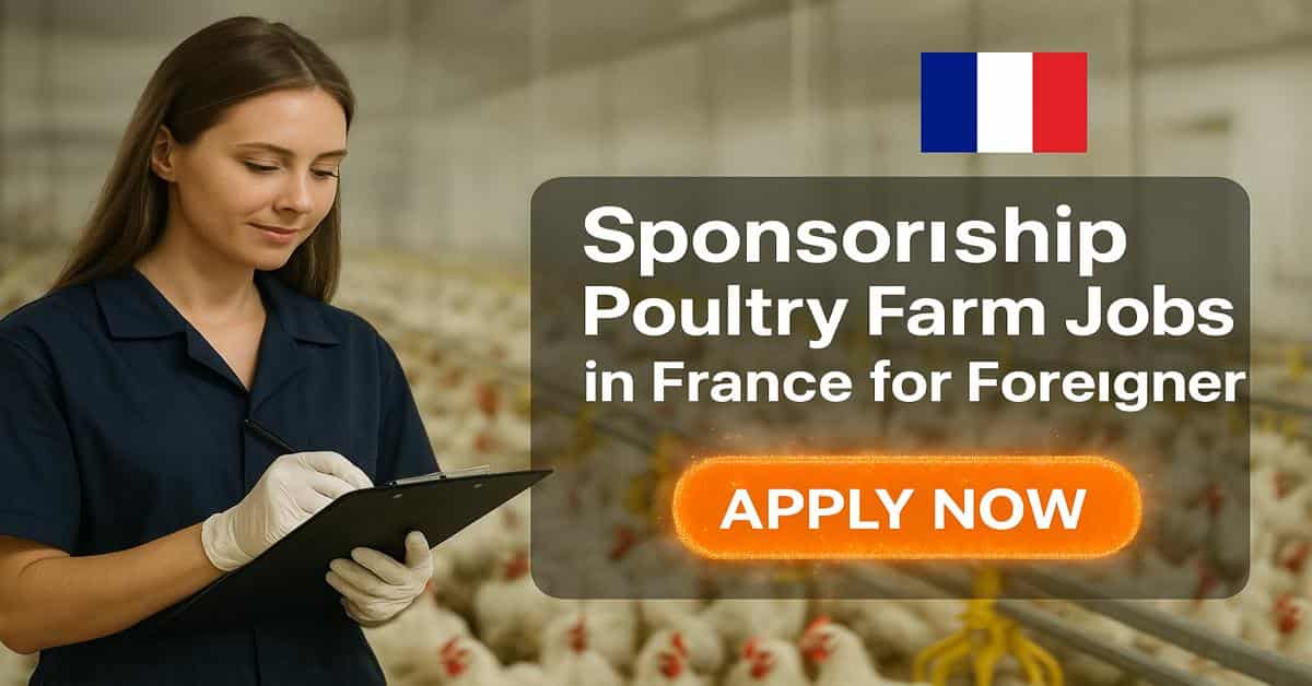 Sponsorship Poultry Farm Jobs in France for Foreigner 2025 1 Sponsorship Poultry Farm Jobs in France for Foreigner
