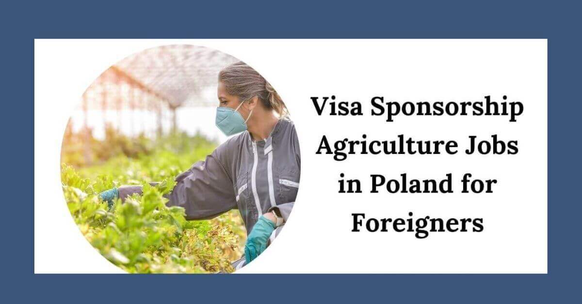 Visa Sponsorship Agriculture Jobs in Poland for Foreigners 2025 1 Visa Sponsorship Agriculture Jobs in Poland for Foreigners