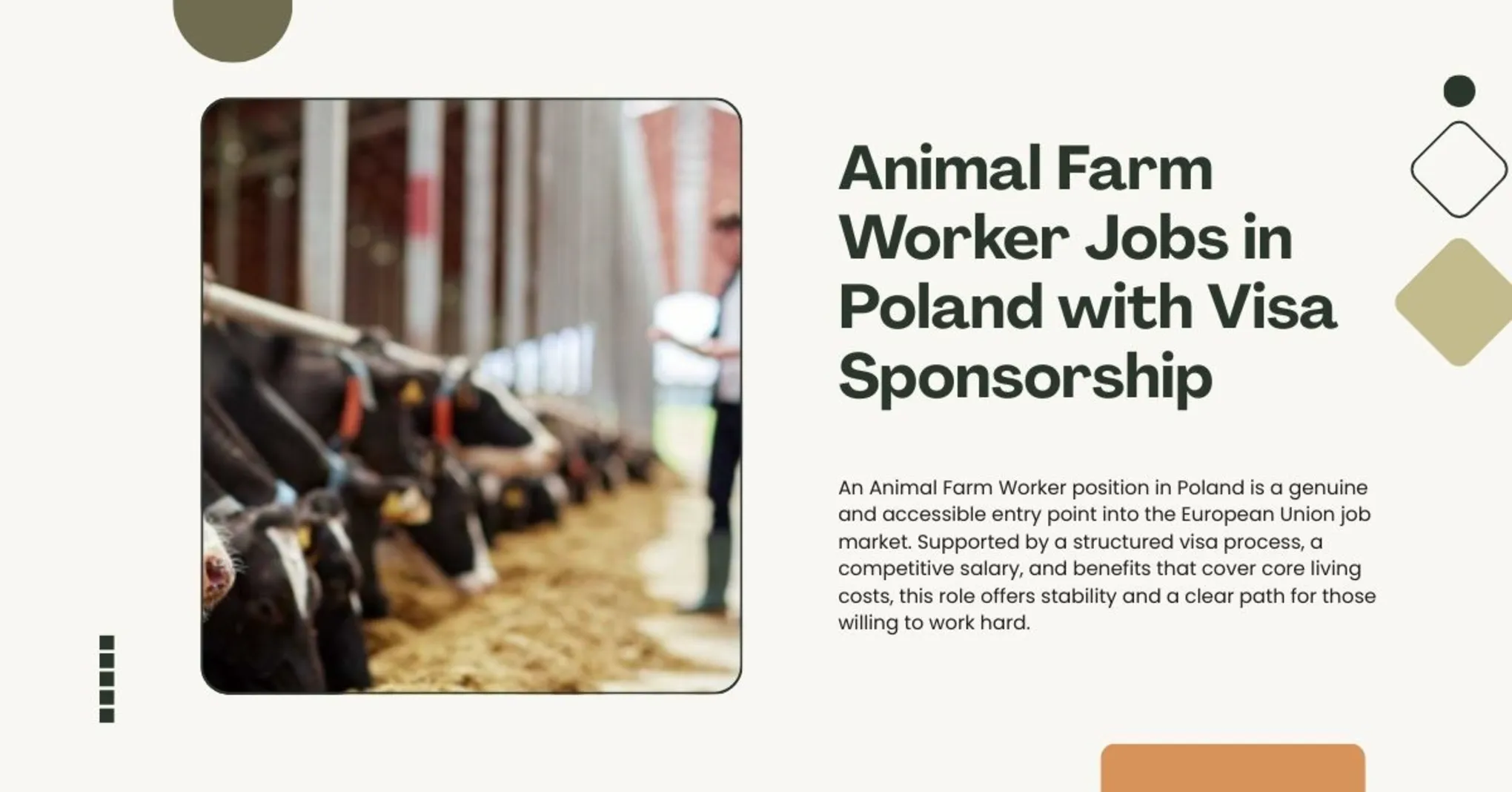 Animal Farm Worker Jobs in Poland with Visa Sponsorship 2026 1 Animal Farm Worker Jobs in Poland