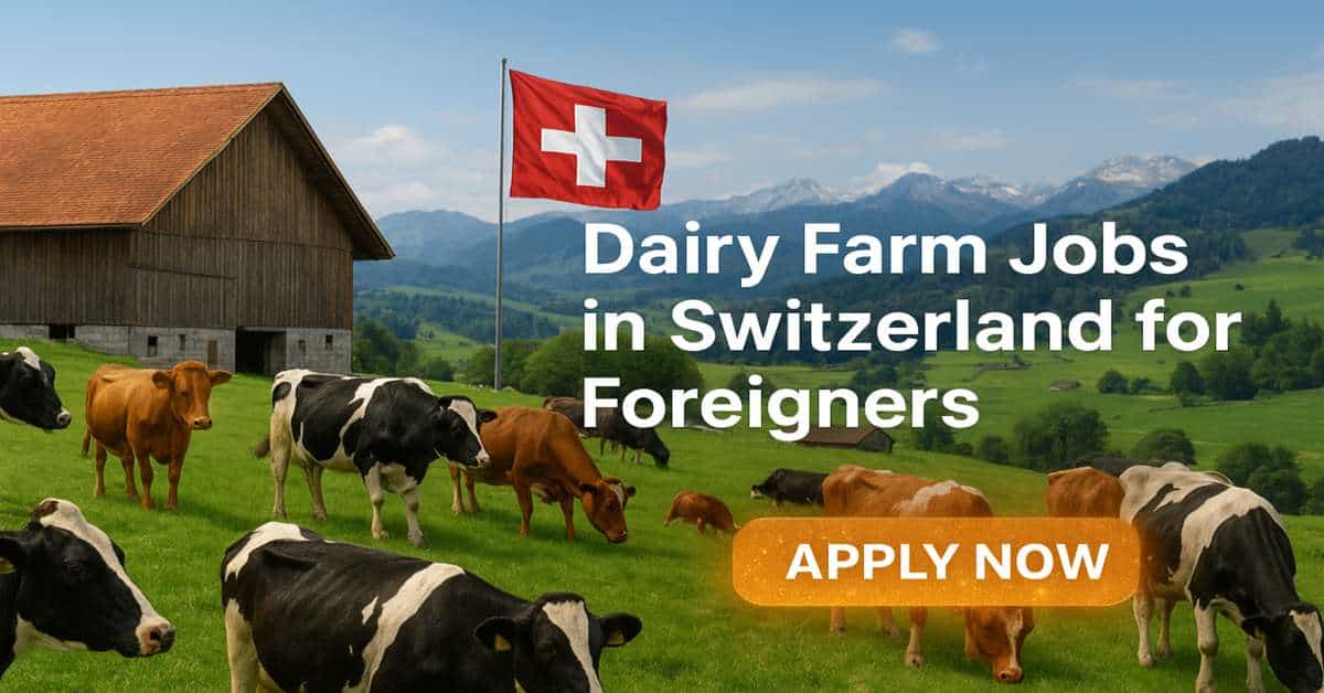 Dairy Farm Jobs in Switzerland for Foreigners 2026 1 Dairy Farm Jobs in Switzerland for Foreigners