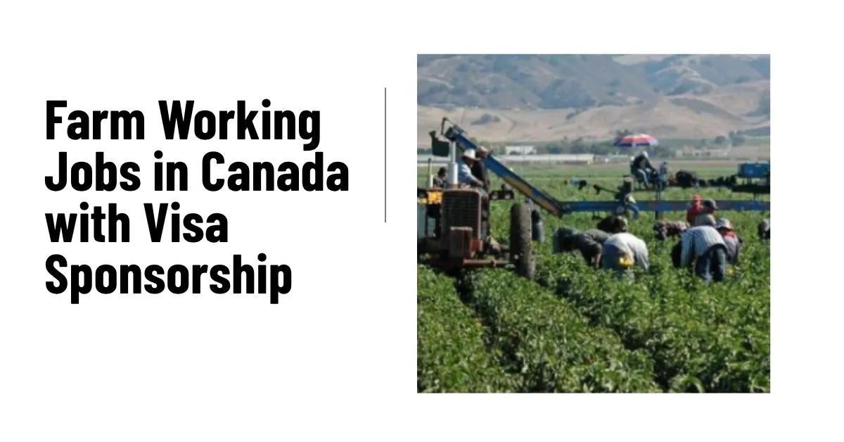 Farm Working Jobs in Canada