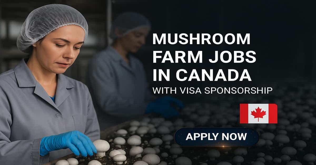 Mushroom Farm Jobs in Canada with Visa Sponsorship 2025 1 Mushroom Farm Jobs in Canada with Visa Sponsorship