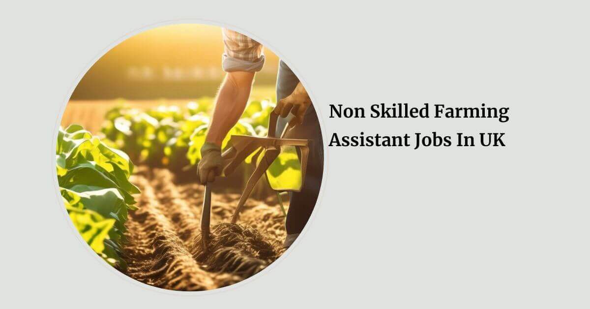 Non Skilled Farming Assistant Jobs In UK