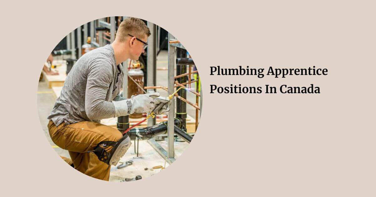 Plumbing Apprentice Positions In Canada