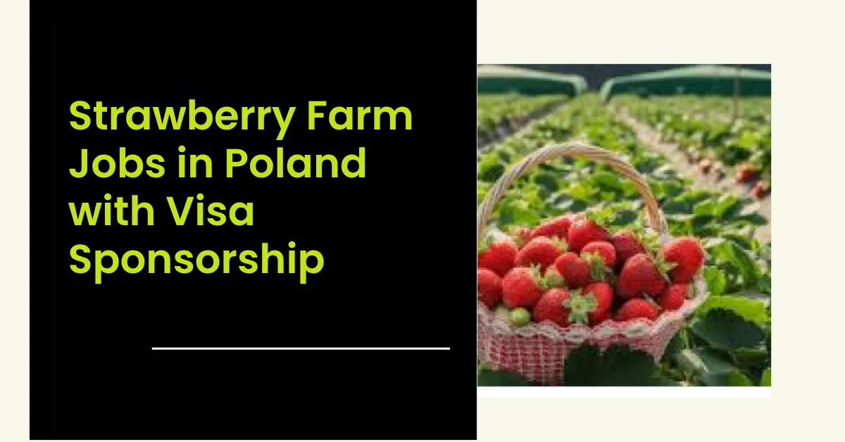 Strawberry Farm Jobs in Poland with Visa Sponsorship 4 Strawberry Farm Jobs in Poland