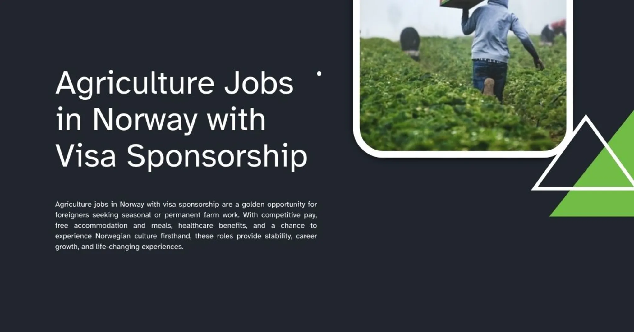 Agriculture Jobs in Norway with Visa Sponsorship 1 Agriculture Jobs in Norway