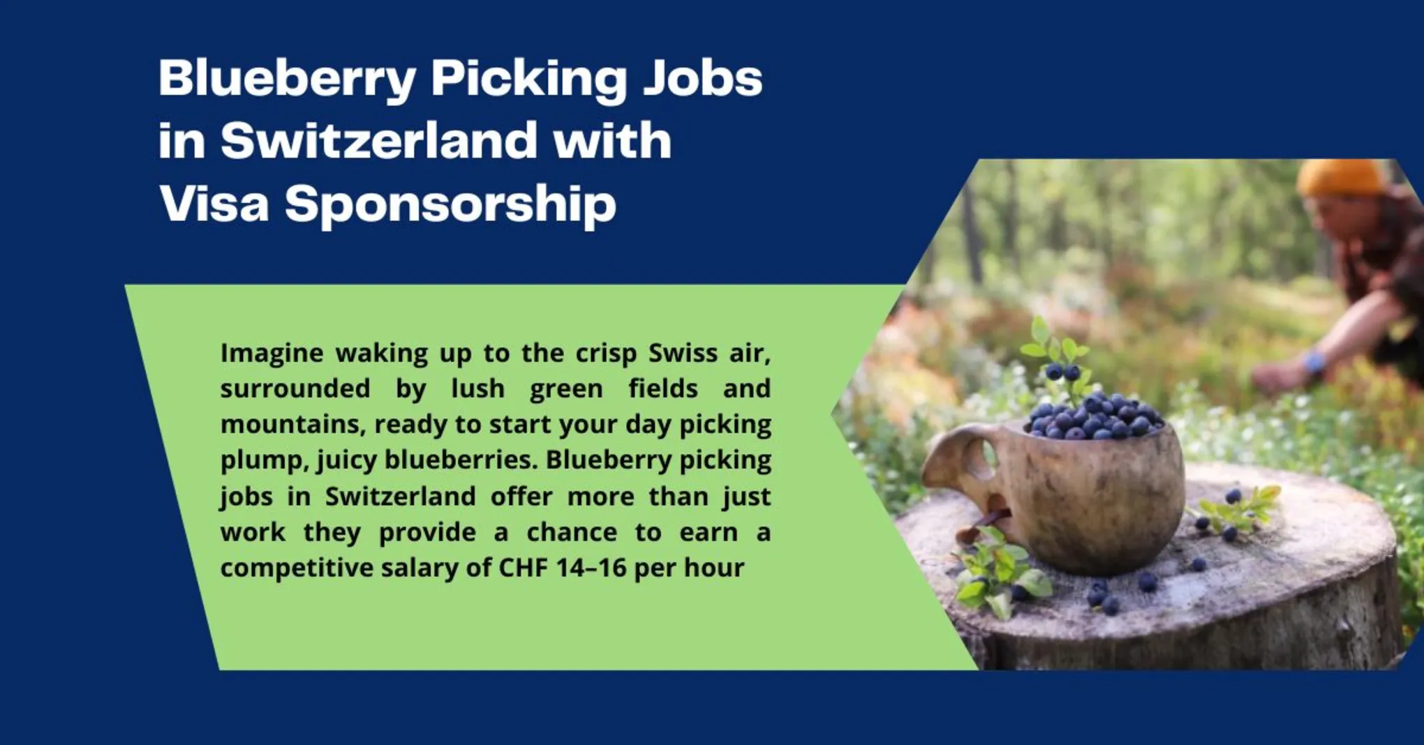 Blueberry Picking Jobs in Switzerland