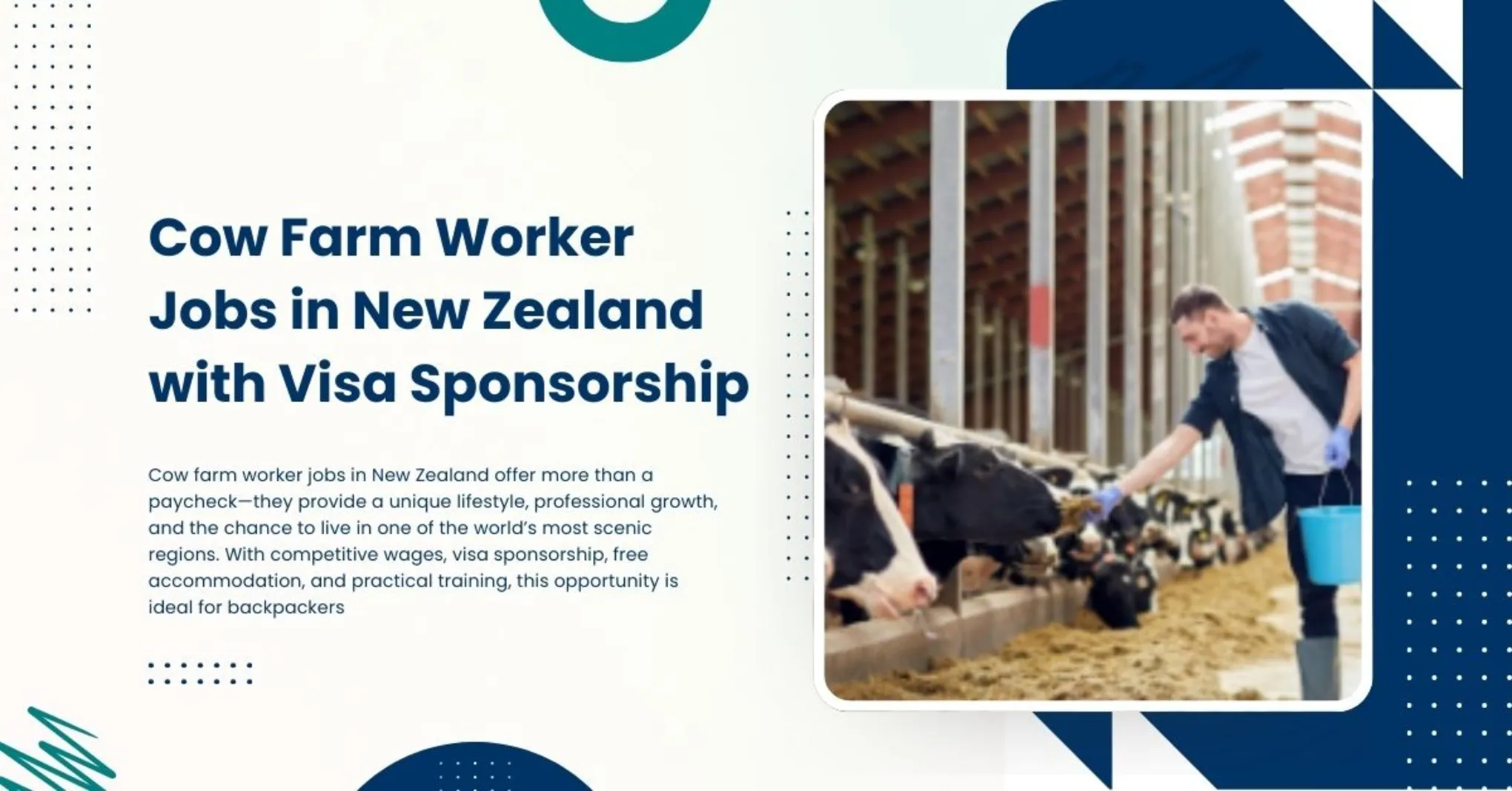 Cow Farm Worker Jobs in New Zealand