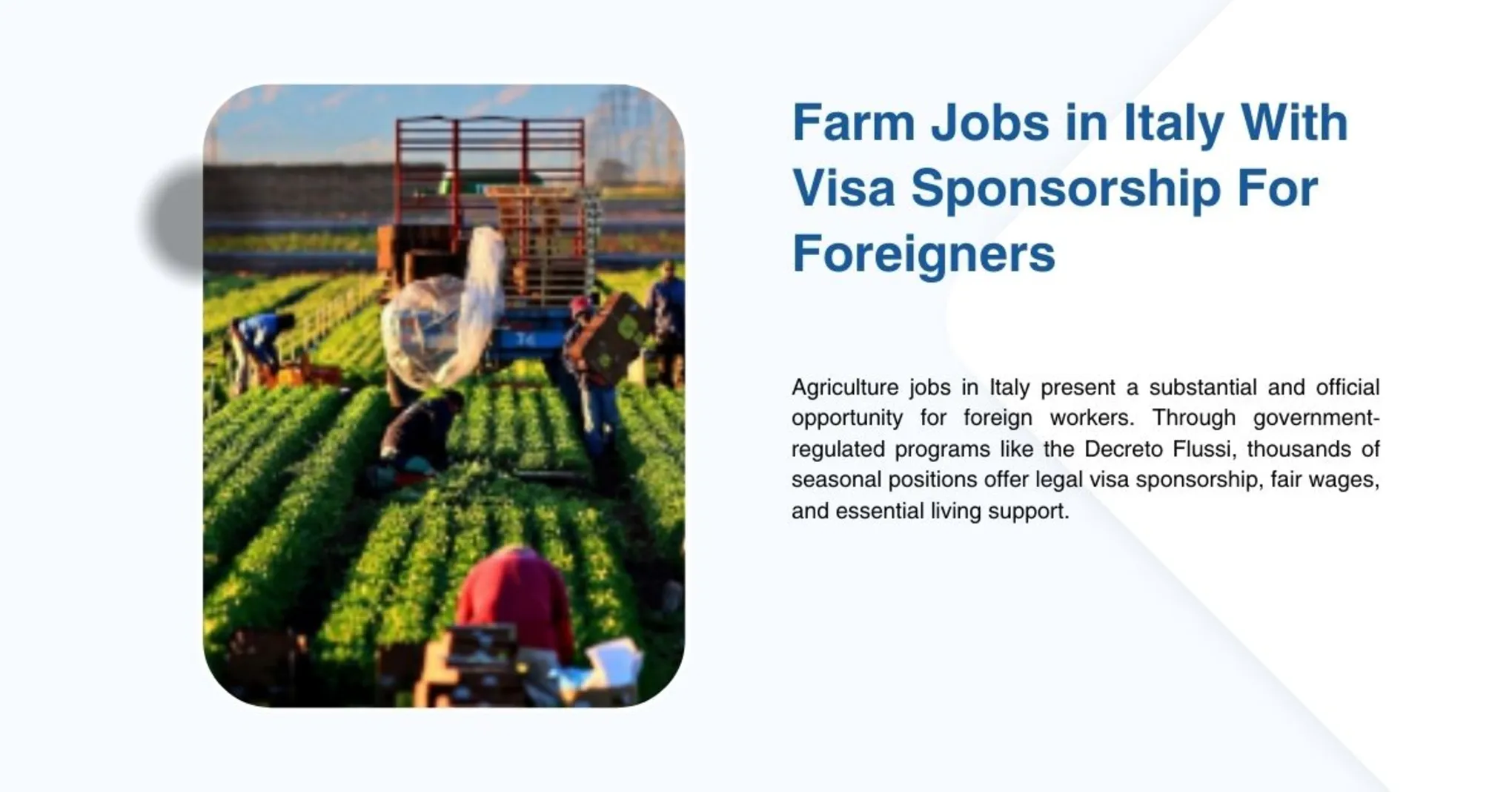 Farm Jobs in Italy