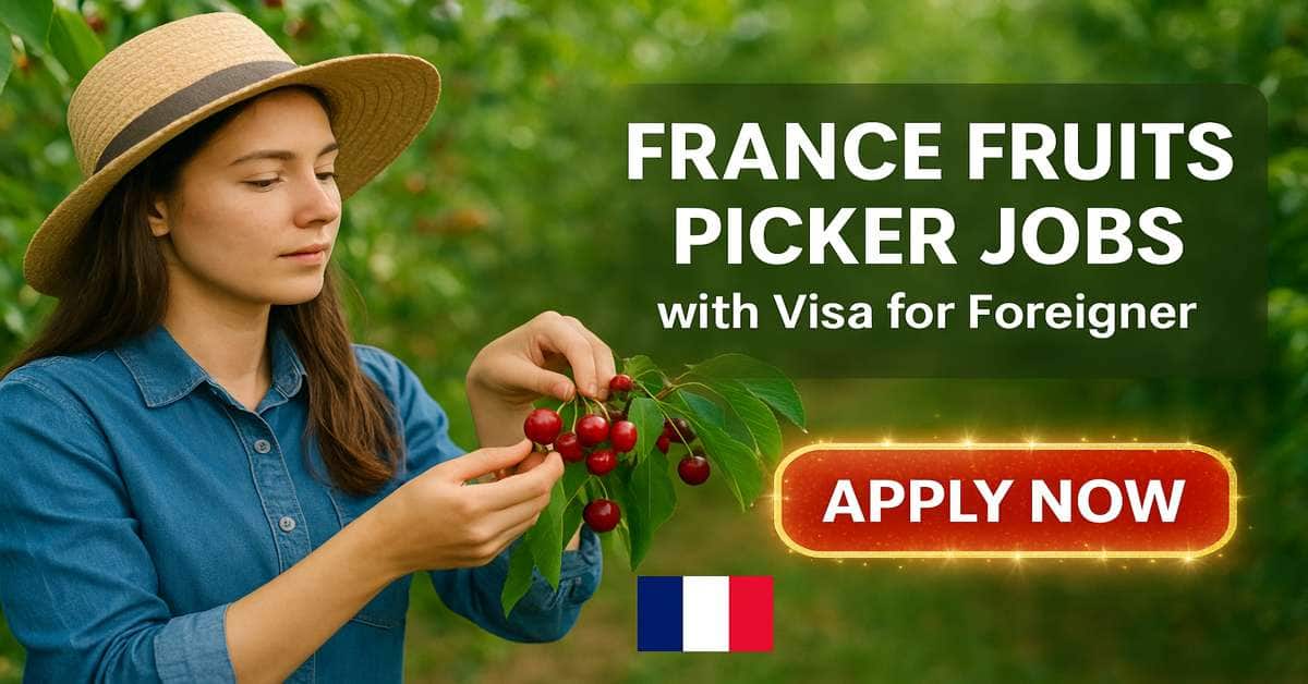 France Fruits Picker Jobs with Visa for Foreigner 2026 1 France Fruits Picker Jobs