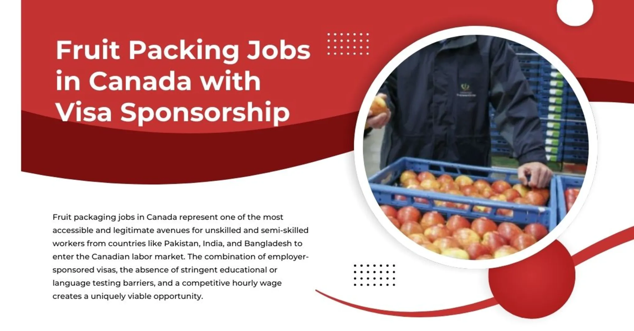 Fruit Packing Jobs in Canada with Visa Sponsorship 1 Fruit Packing Jobs in Canada