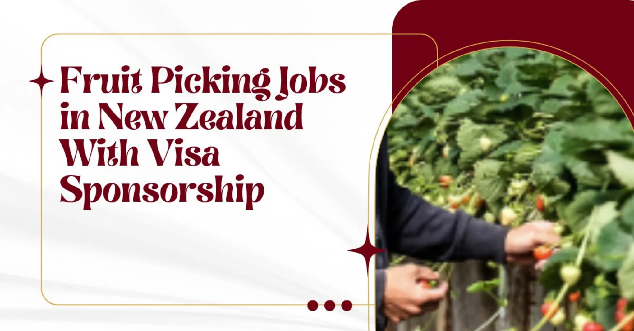 Fruit Picking Jobs in New Zealand