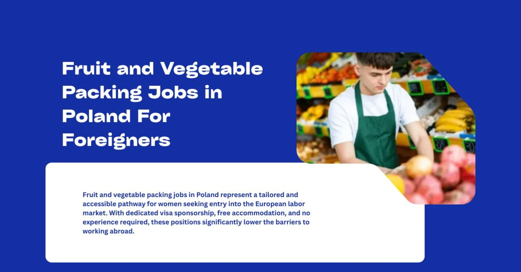 Fruit and Vegetable Packing Jobs in Poland