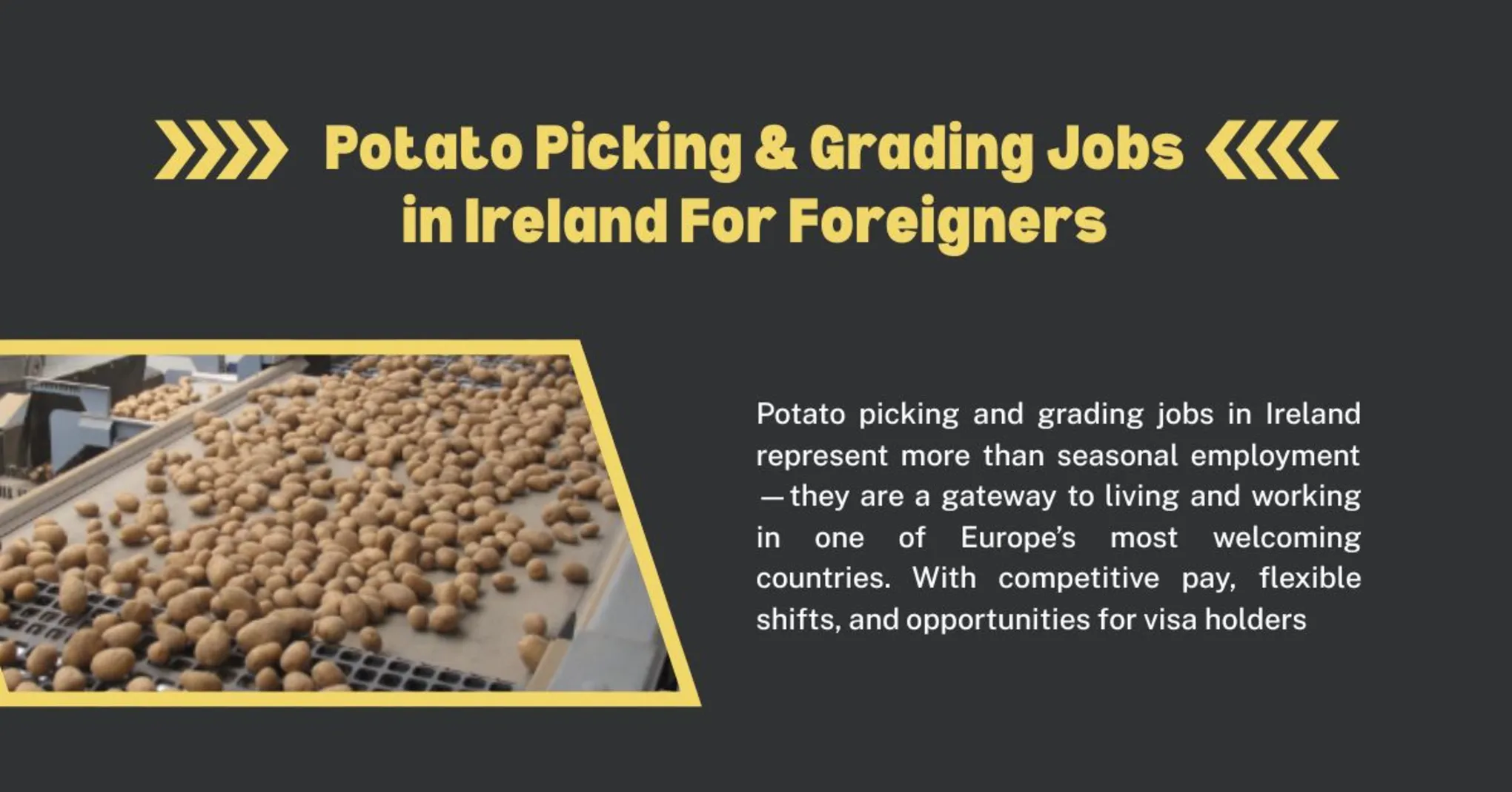Potato Picking & Grading Jobs in Ireland