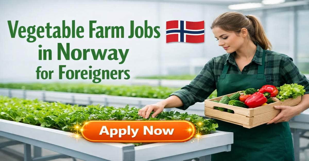 Vegetable Farm Jobs in Norway for Foreigners