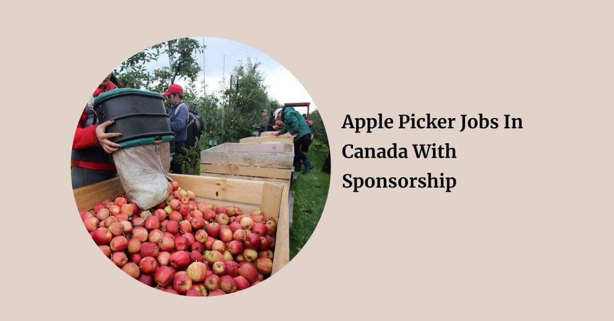 Apple Picker Jobs In Canada With Sponsorship