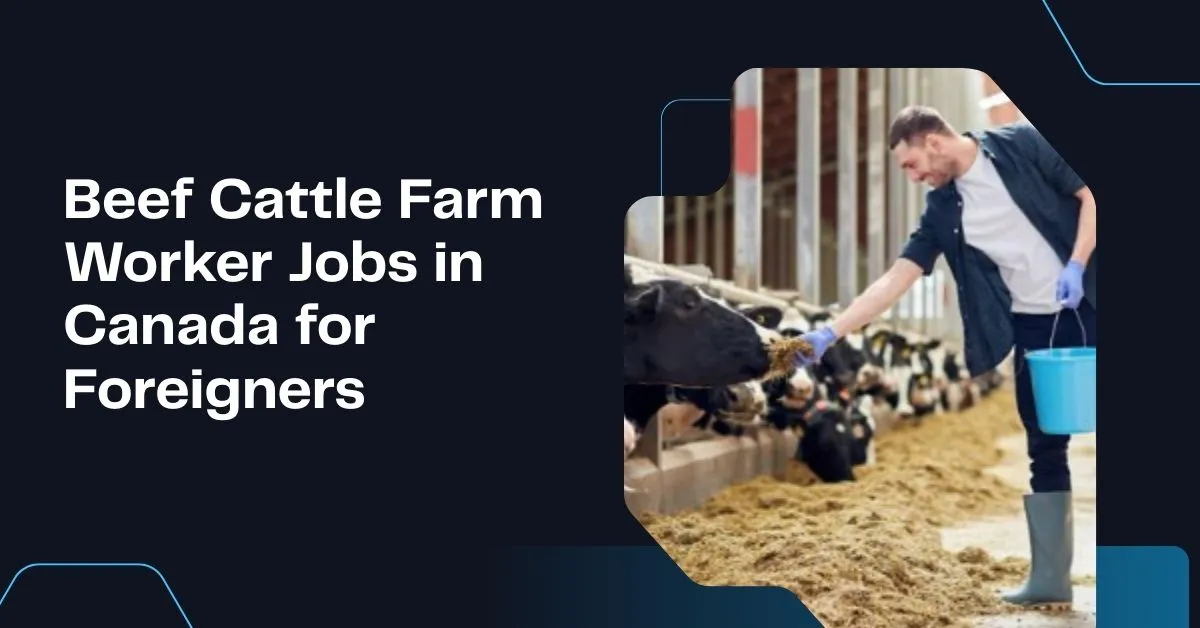 Beef Cattle Farm Worker Jobs in Canada