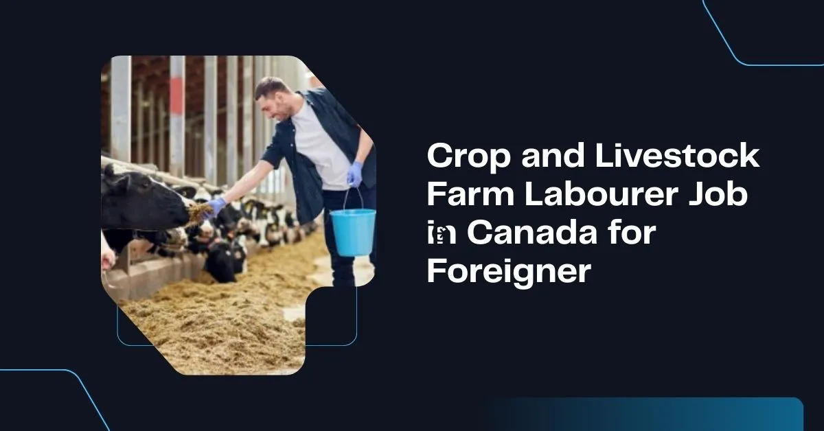 Crop and Livestock Farm Labourer Job in Canada for Foreigner 1 Crop and Livestock Farm Labourer Job in Canada