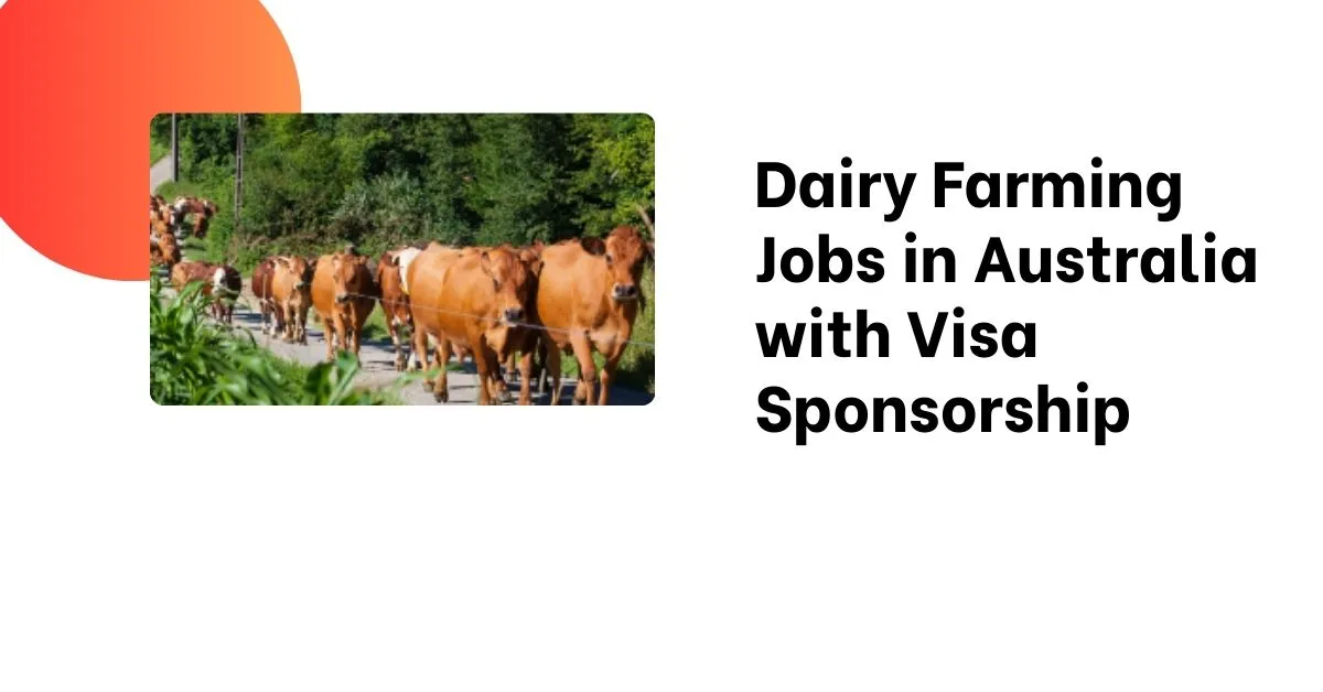 Dairy Farming Jobs in Australia