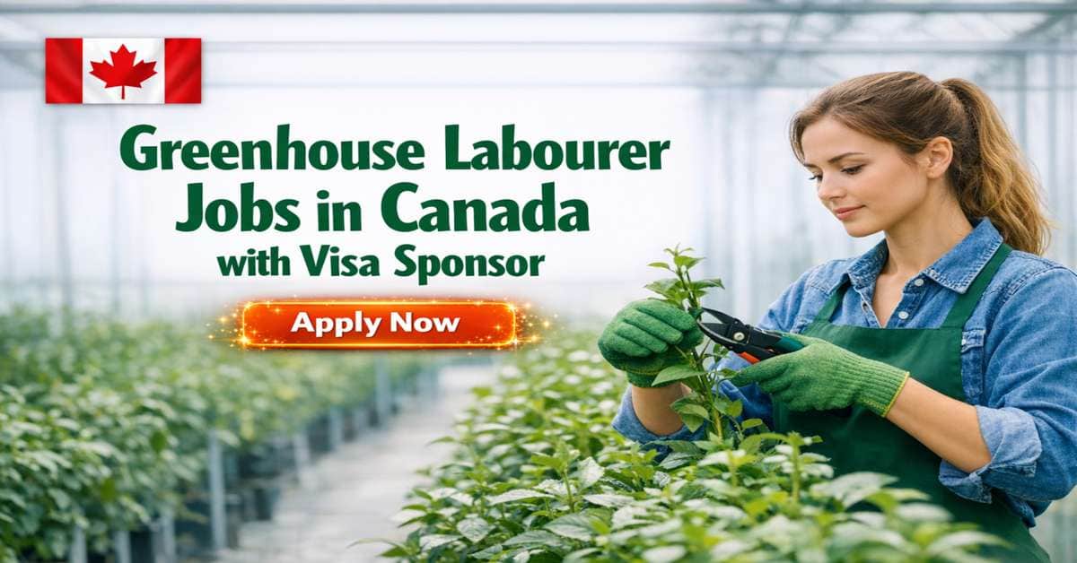 Greenhouse Labourer Jobs in Canada with Visa Sponsor