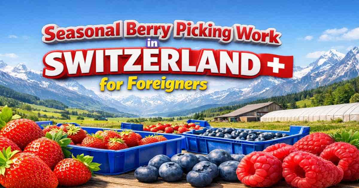 Seasonal Berry Picking Work in Switzerland for Foreigners 1 Seasonal Berry Picking Work in Switzerland for Foreigners