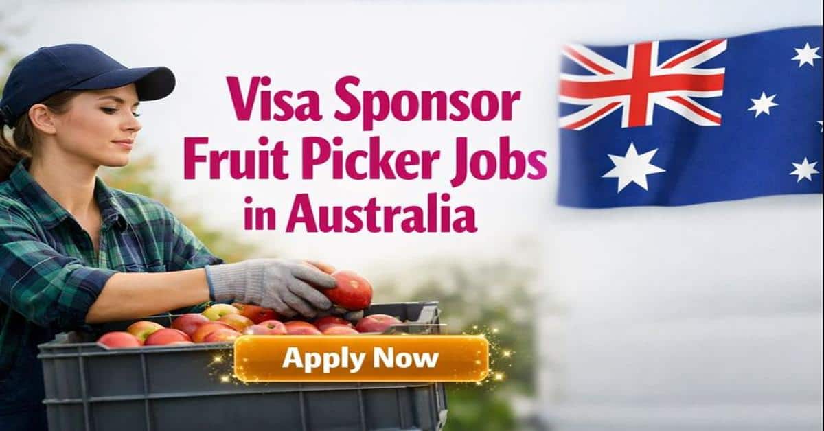 Visa Sponsor Fruit Picker Jobs in Australia