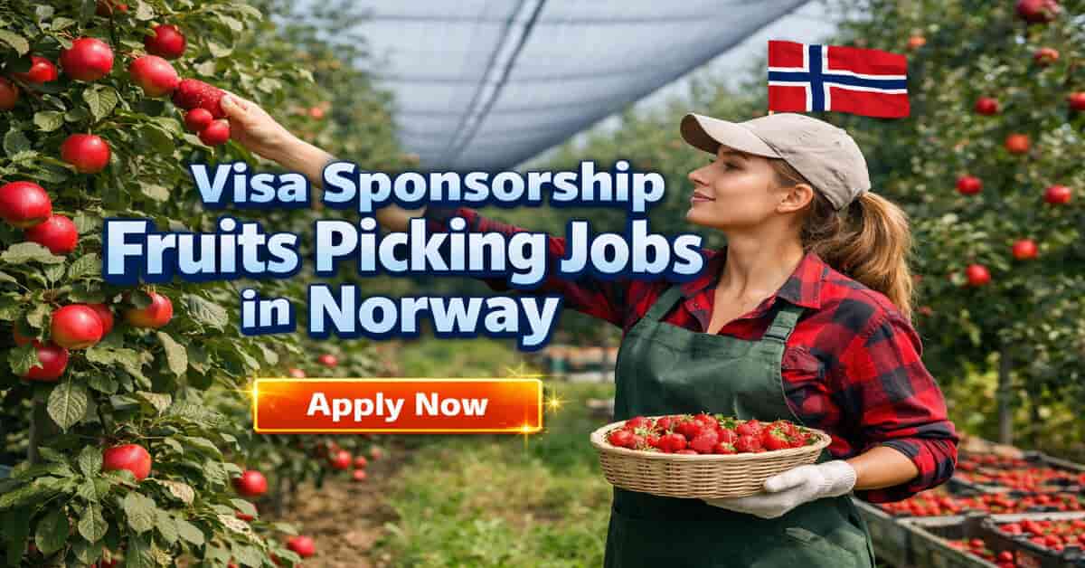 Visa Sponsorship Fruits Picking Jobs in Norway