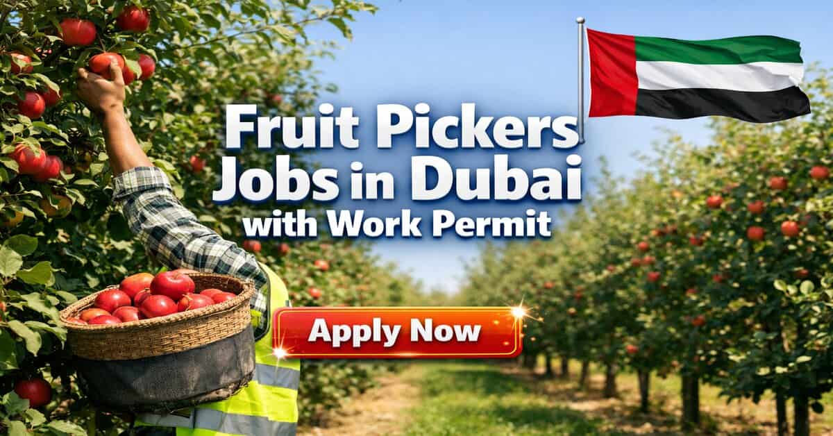 Fruit Pickers Jobs in Dubai with Work Permit