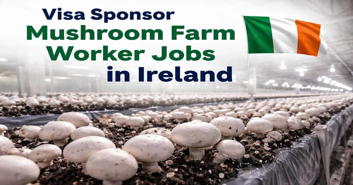 Visa Sponsor Mushroom Farm Worker Jobs in Ireland