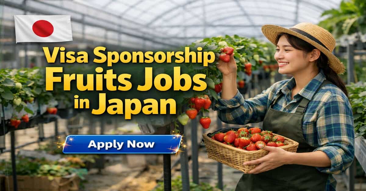 Visa Sponsorship Fruits Jobs in Japan
