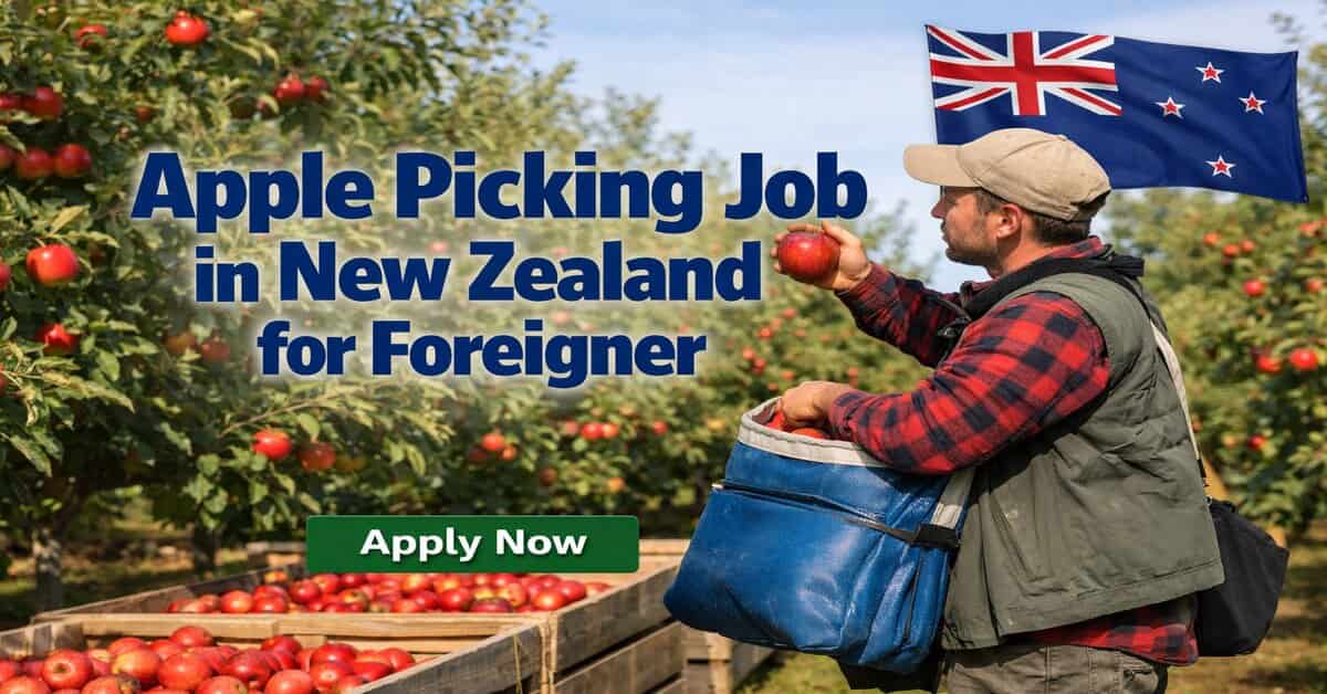 Apple Picking Job in New Zealand for Foreigner
