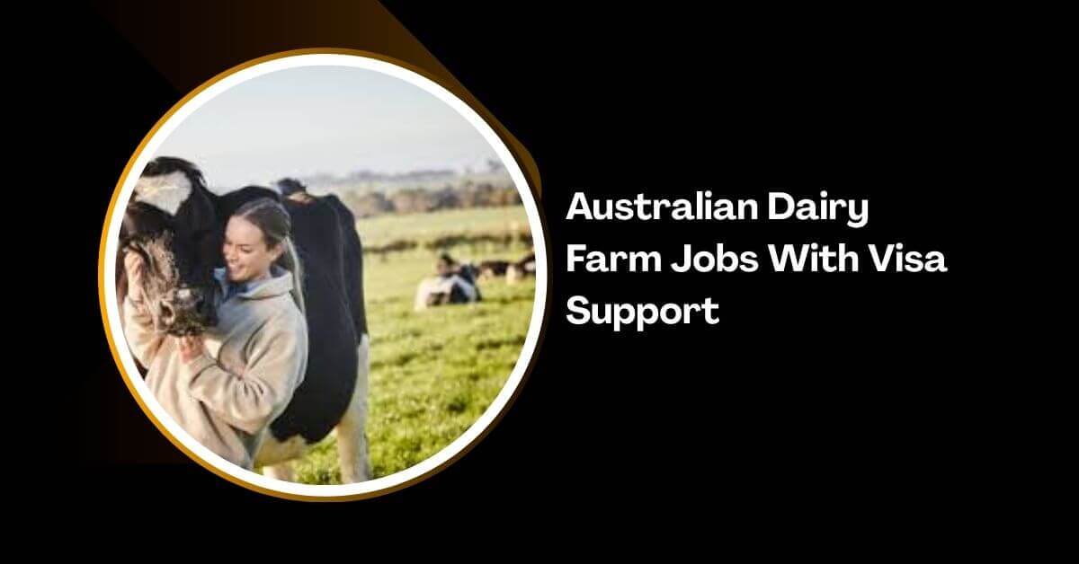 Australian Dairy Farm Jobs With Visa Support