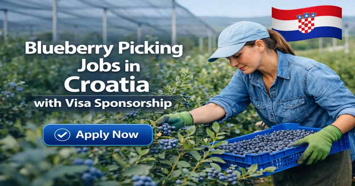 Blueberry Picking Jobs in Croatia with Visa Sponsorship