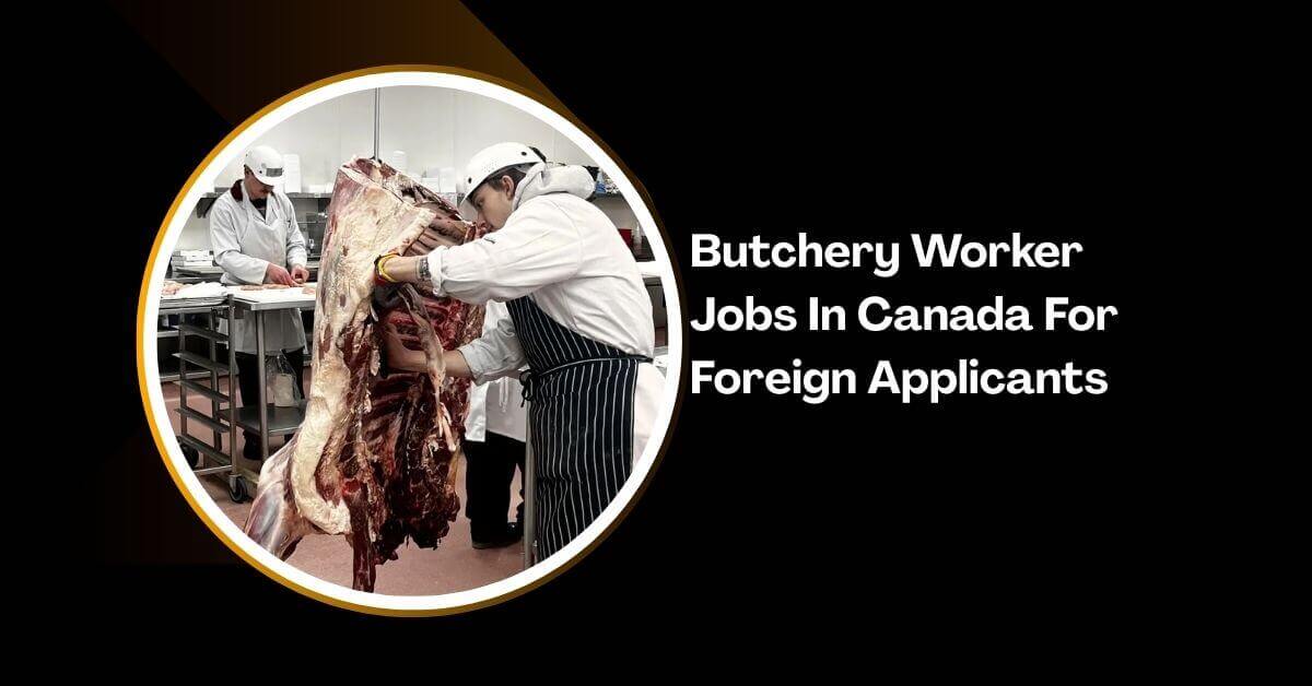 Butchery Worker Jobs In Canada For Foreign Applicants