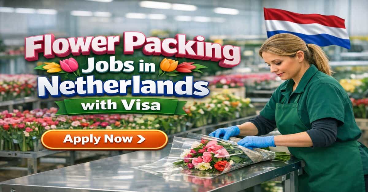 Flower Packing Jobs in Netherlands with Visa