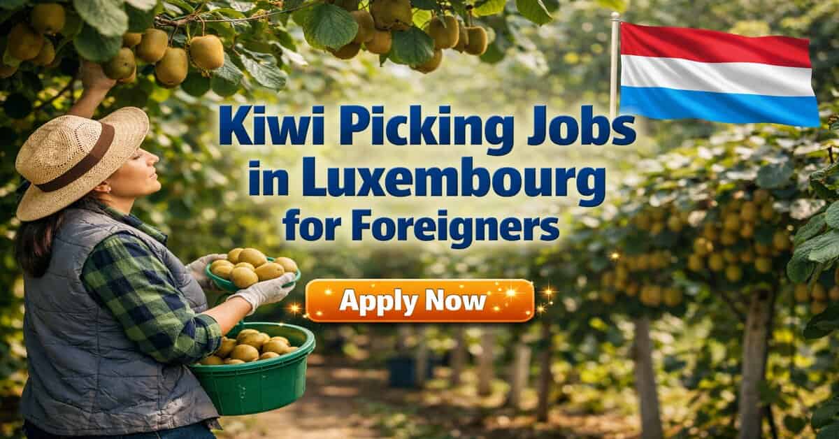 Kiwi Picking Jobs in Luxembourg for Foreigners