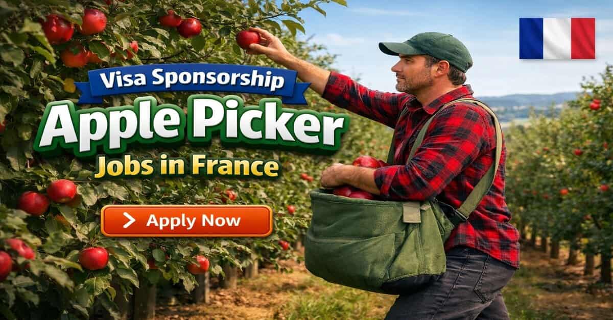 Visa Sponsorship Apple Picker Jobs in France