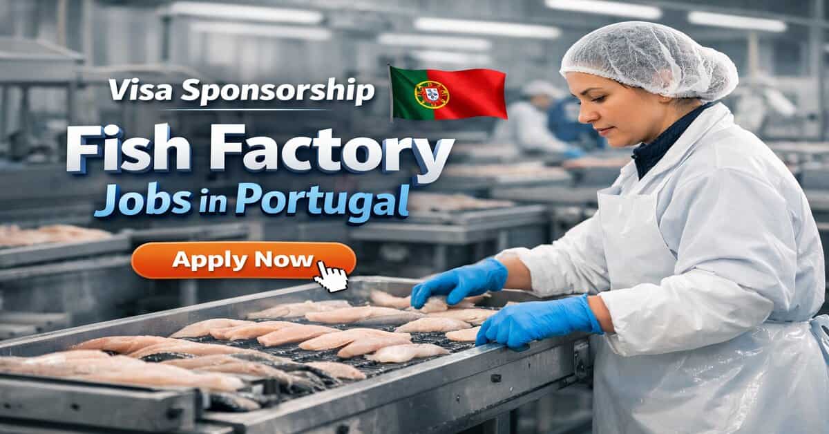 Visa Sponsorship Fish Factory Jobs in Portugal