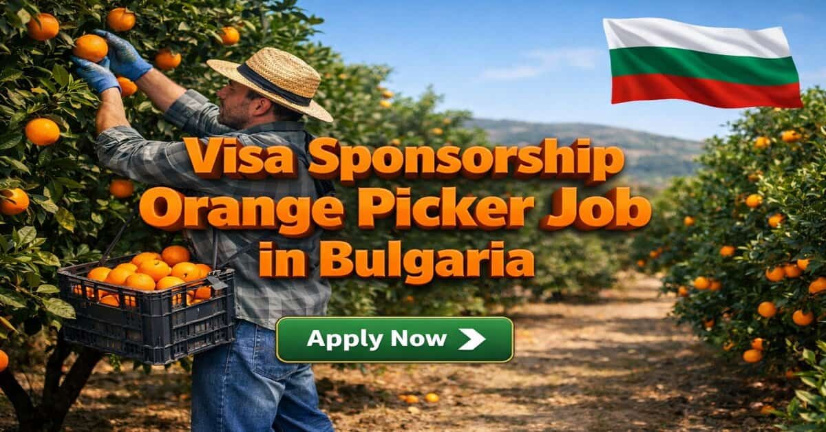 Visa Sponsorship Orange Picker Job in Bulgaria